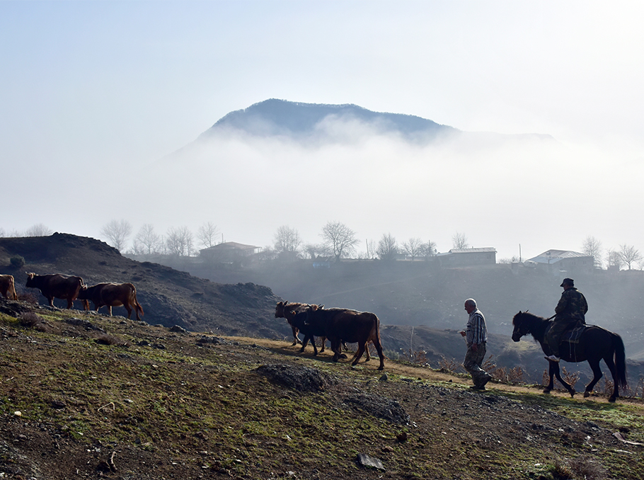 Տումին Տումին