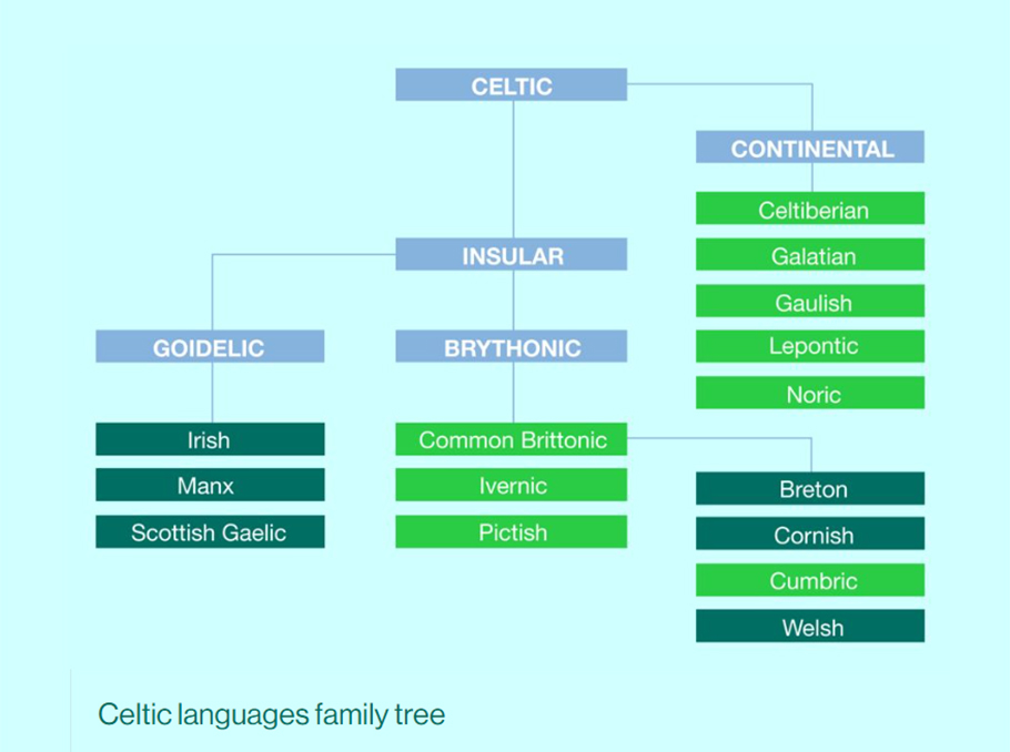 Կելտական լեզվաընտանիքը