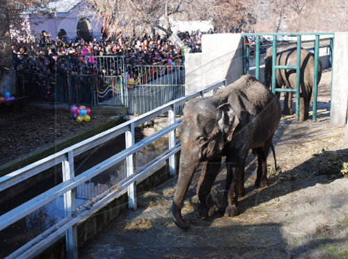 Zoo